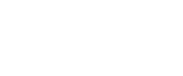 Imponera Logo